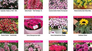 Four Oaks new plants